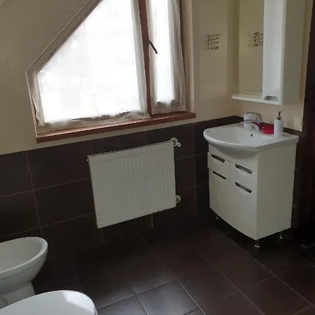 Gæstehus Chalet 888 Palyanytsya