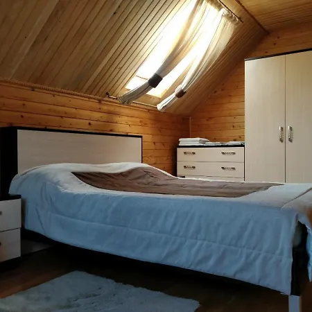 Chalet 888 Palyanytsya